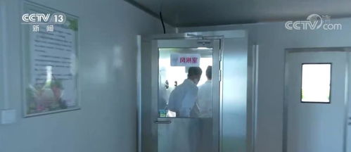 科技賦能植物工廠 北京技術(shù)咨詢引領(lǐng)蔬菜生長新境界